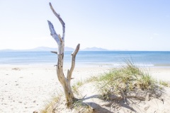 North-Wales-9738