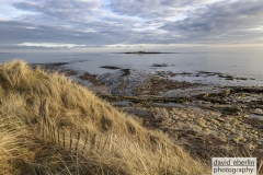 amble-8984