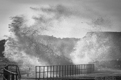 coast-278A3610
