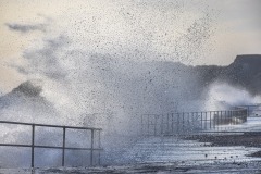 coast-278A3615