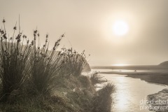 cornwall-mist-1002847