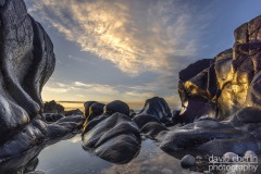 rocks-lizard-6559
