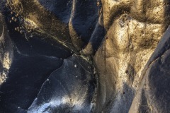 rocks-lizard-6563