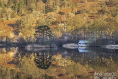 rydle-autumn-2592