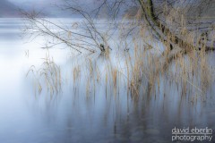ullswater-reed-278A9810