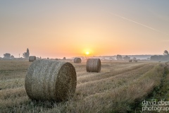 round-bales-hoveringham-1003445
