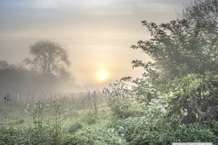 trent-mist-5050040