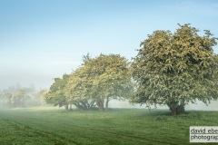 trent-mist-5050082