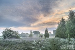 trent-misty-morninmg-1002907