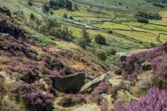 derbys-2348