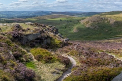 peak-district-heather-