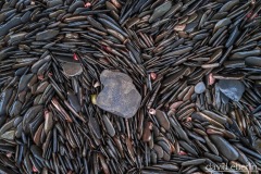 scotland-beach-1001396