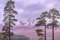 torridon-loch-clare-3051
