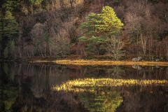 torridon-loch-clare-3155