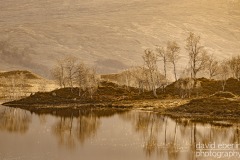 torridon-loch-clare-3167